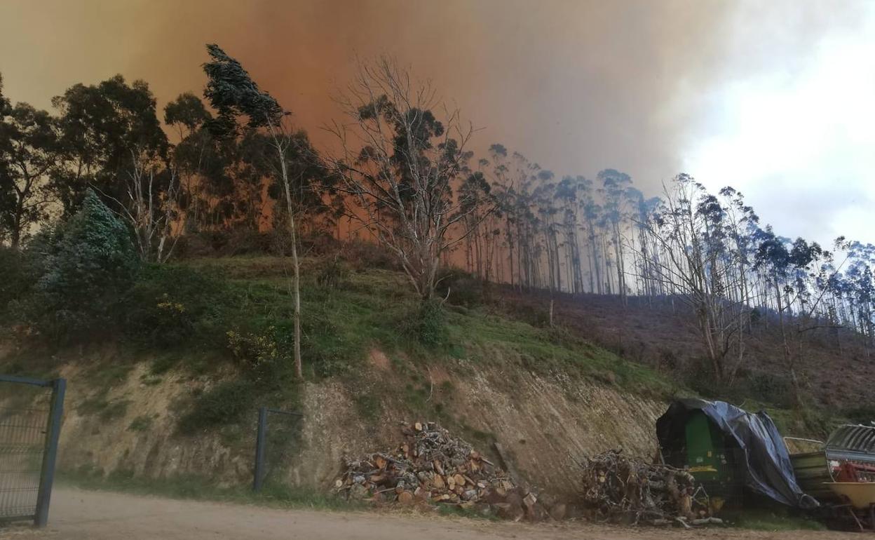 Imágenes del fuego de Peruyes. 