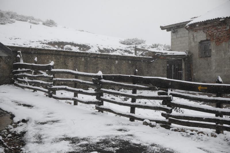 Asturias ha entrado en el mes de marzo bajo los efectos de la borrasca 'Katrine', que ha desplomado la cota de nieve al entorno de los 700 metros, lo que ha complicado la circulación en puertos de montaña como Pajares. Ese manto blanco también dibuja paisajes únicos, como los que se pueden ver en los Lagos de Covadonga. En cotas más bajas, la lluvia es la protagonista de la jornada.