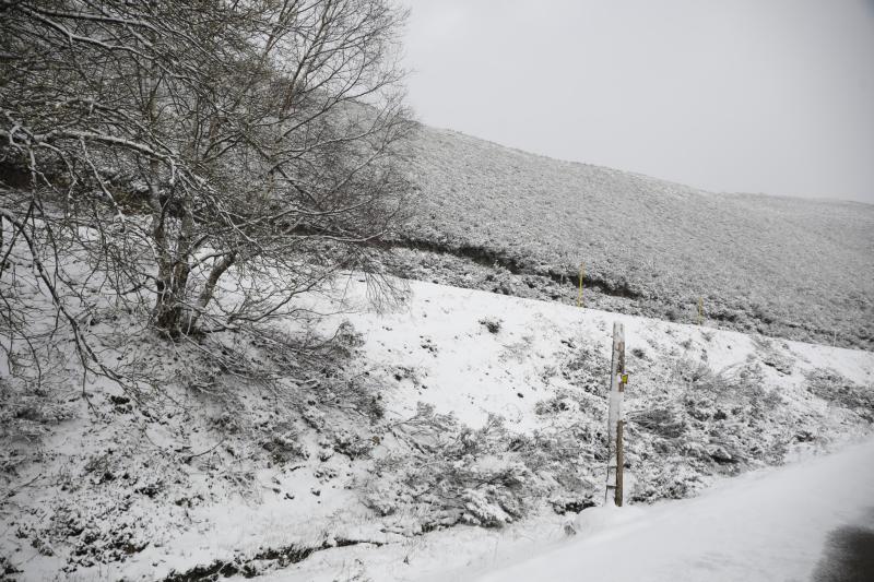 Asturias ha entrado en el mes de marzo bajo los efectos de la borrasca 'Katrine', que ha desplomado la cota de nieve al entorno de los 700 metros, lo que ha complicado la circulación en puertos de montaña como Pajares. Ese manto blanco también dibuja paisajes únicos, como los que se pueden ver en los Lagos de Covadonga. En cotas más bajas, la lluvia es la protagonista de la jornada.