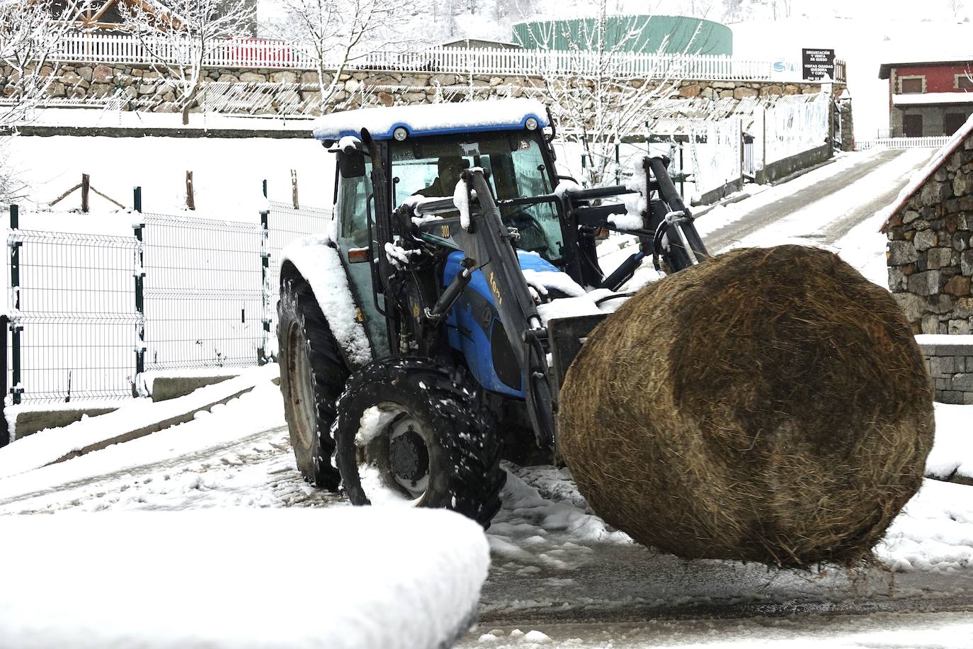 Asturias ha entrado en el mes de marzo bajo los efectos de la borrasca 'Karine', que ha desplomado la cota de nieve al entorno de los 700 metros, lo que ha complicado la circulación en puertos de montaña como Pajares. Ese manto blanco también dibuja paisajes únicos, como los que se pueden ver en los Lagos de Covadonga. En cotas más bajas, la lluvia es la protagonista de la jornada.