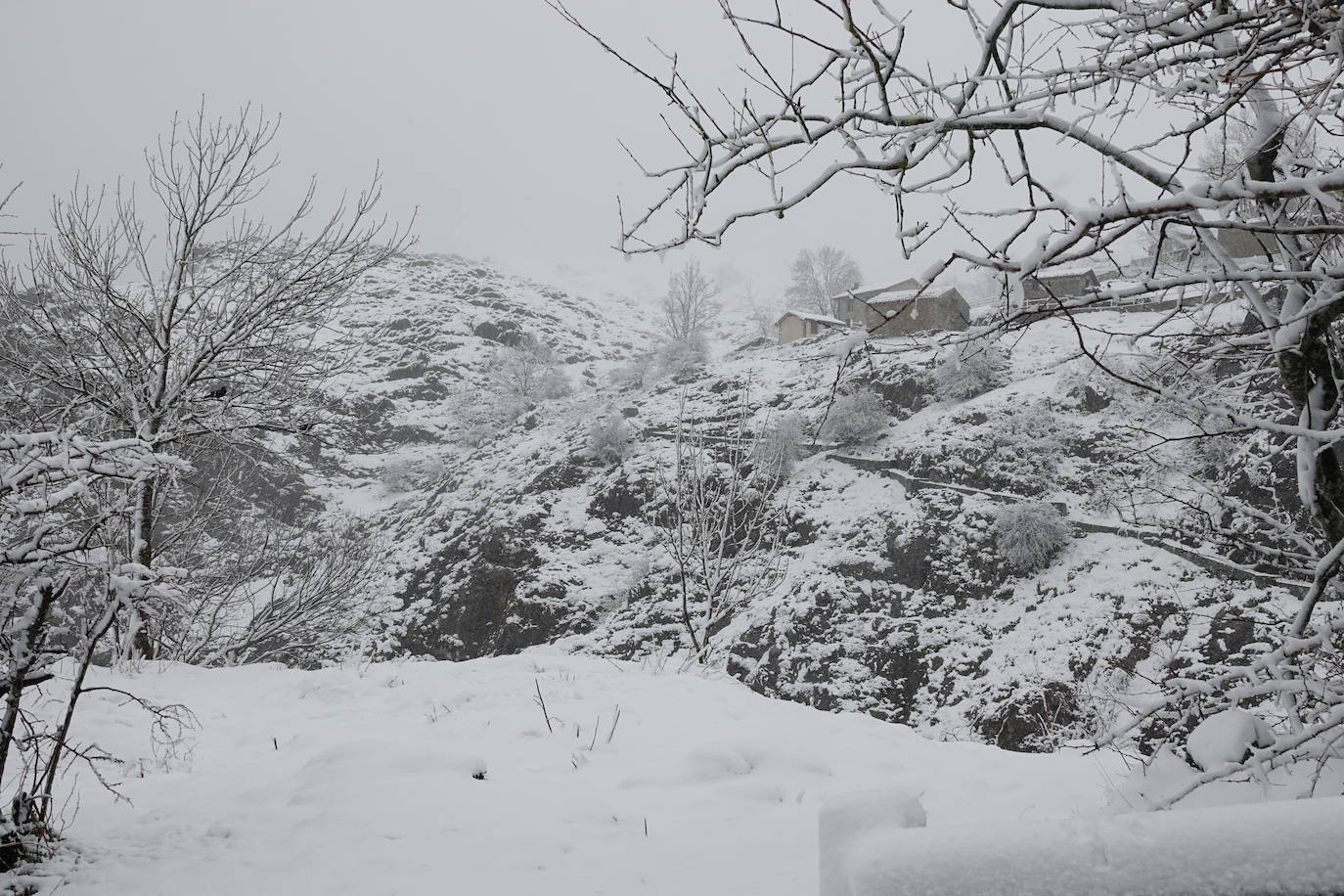 Asturias ha entrado en el mes de marzo bajo los efectos de la borrasca 'Karine', que ha desplomado la cota de nieve al entorno de los 700 metros, lo que ha complicado la circulación en puertos de montaña como Pajares. Ese manto blanco también dibuja paisajes únicos, como los que se pueden ver en los Lagos de Covadonga. En cotas más bajas, la lluvia es la protagonista de la jornada.