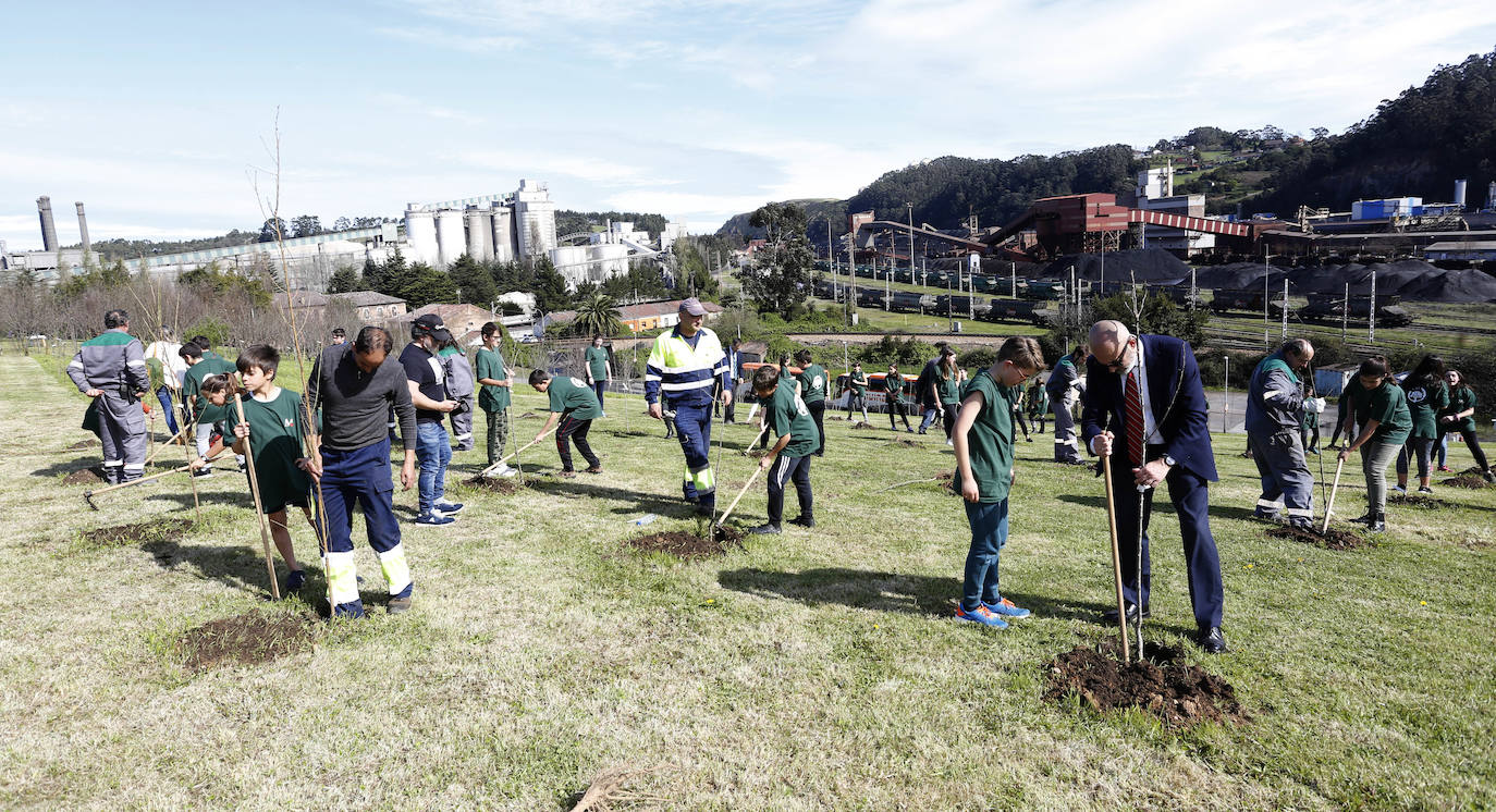 90 alumnos de los colegios San Félix y Poeta Antón han participado en la plantación de 95 frutales alrededor de la cementera gijonesa Tudela Veguín. 