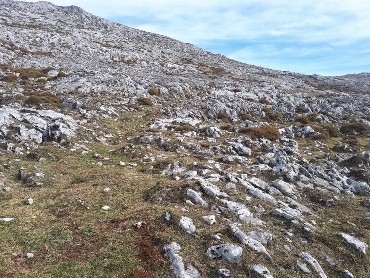 Fotos: Una ruta por la Sierra de Sobia