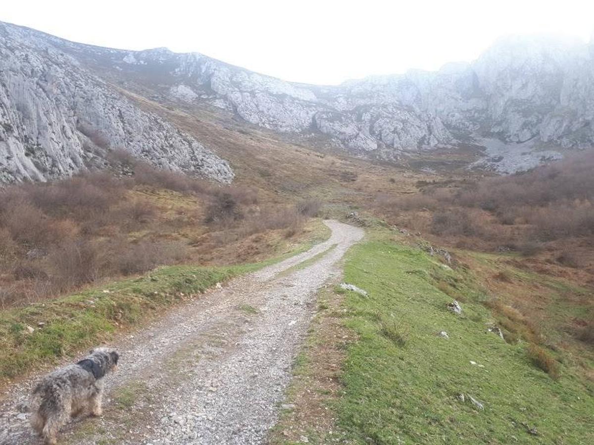 Fotos: Una ruta por la Sierra de Sobia