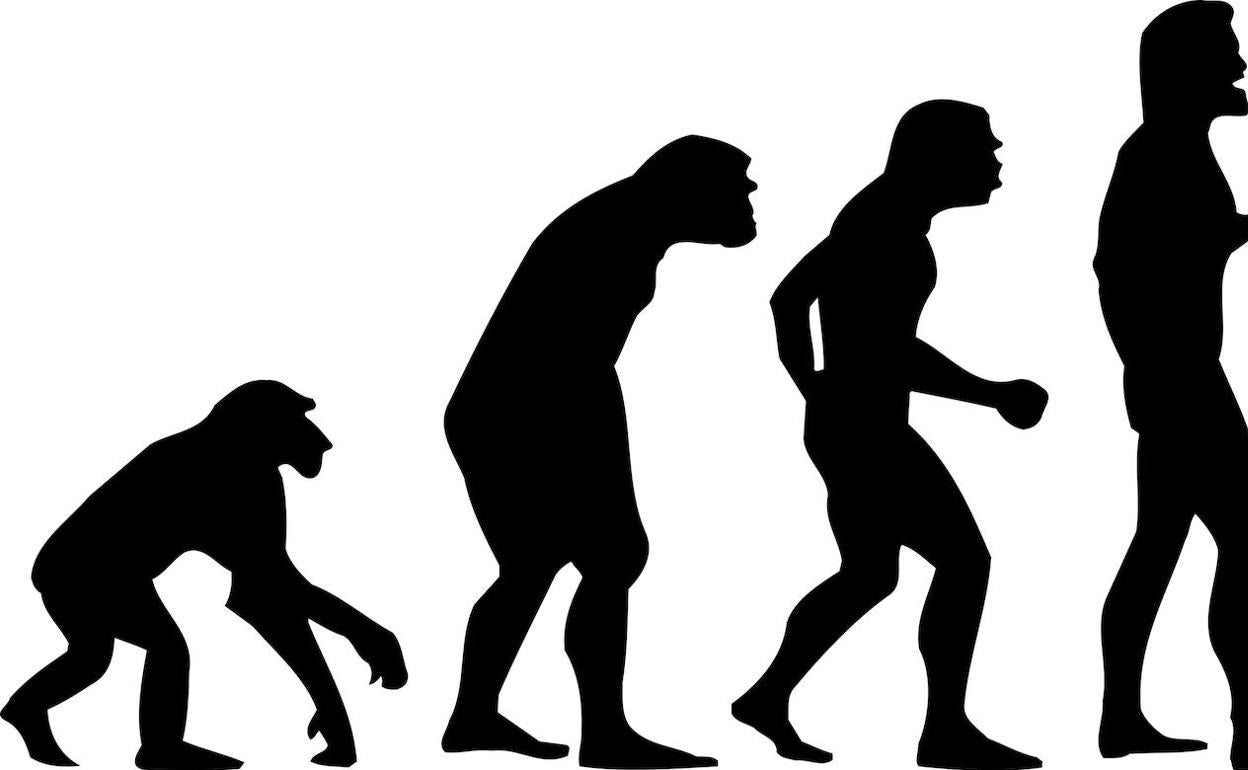 Demuestran científicamente una de las teorías de la evolución de Darwin