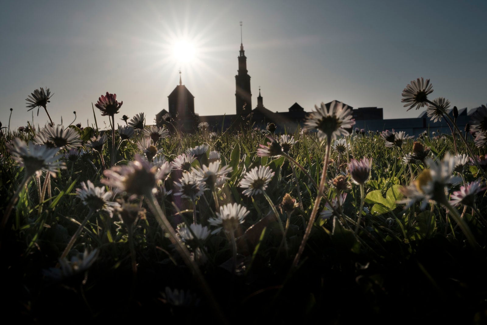 Te acercamos las imágenes de Asturias que este año apenas podemos disfrutar a causa de la terrible pandemia que azota nuestro país. 