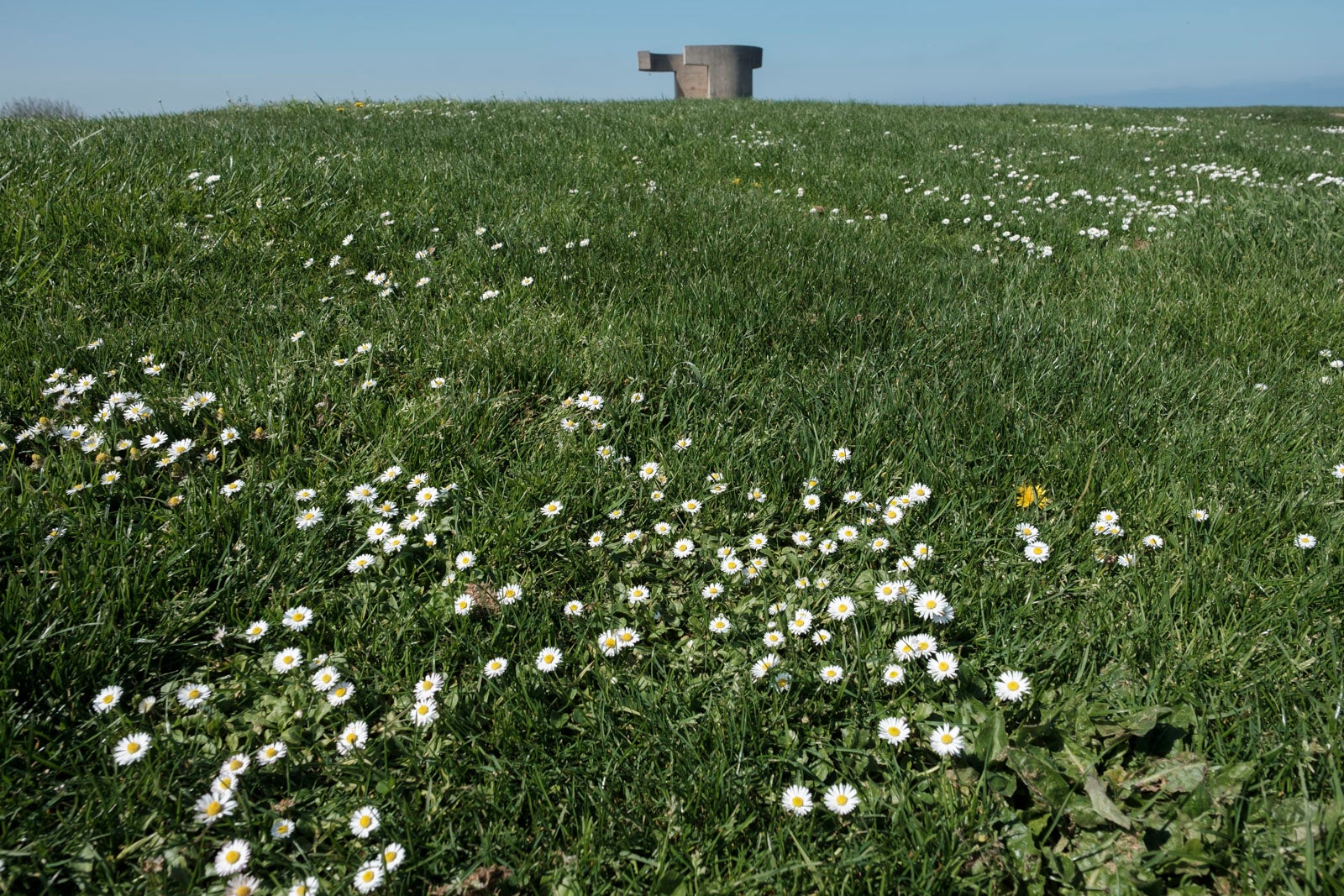 Te acercamos las imágenes de Asturias que este año apenas podemos disfrutar a causa de la terrible pandemia que azota nuestro país. 