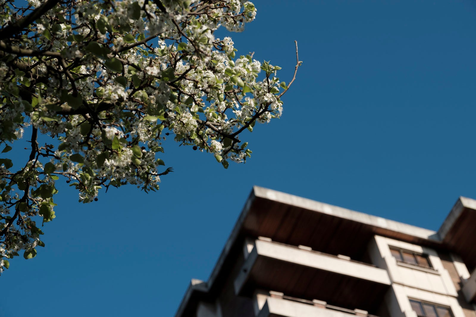 Te acercamos las imágenes de Asturias que este año apenas podemos disfrutar a causa de la terrible pandemia que azota nuestro país. 