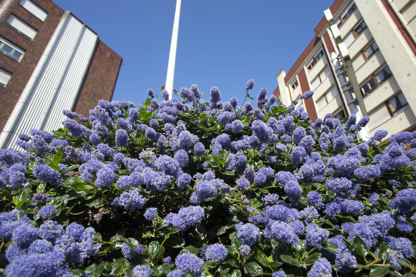 Te acercamos las imágenes de Asturias que este año apenas podemos disfrutar a causa de la terrible pandemia que azota nuestro país. 