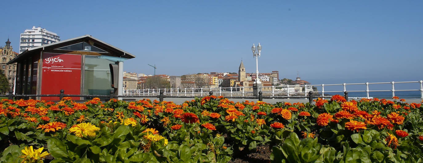 Te acercamos las imágenes de Asturias que este año apenas podemos disfrutar a causa de la terrible pandemia que azota nuestro país. 