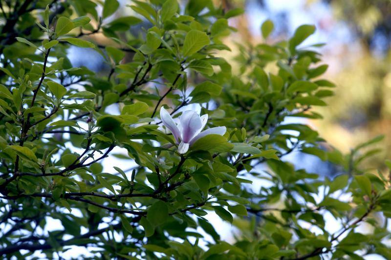 Te acercamos las imágenes de Asturias que este año apenas podemos disfrutar a causa de la terrible pandemia que azota nuestro país. 