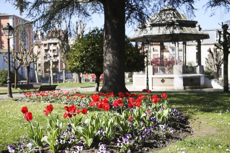 Te acercamos las imágenes de Asturias que este año apenas podemos disfrutar a causa de la terrible pandemia que azota nuestro país. 