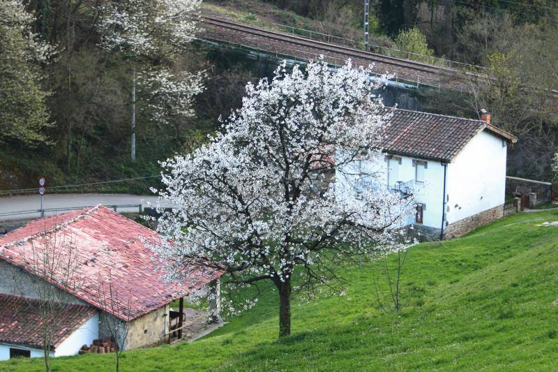 Te acercamos las imágenes de Asturias que este año apenas podemos disfrutar a causa de la terrible pandemia que azota nuestro país. 
