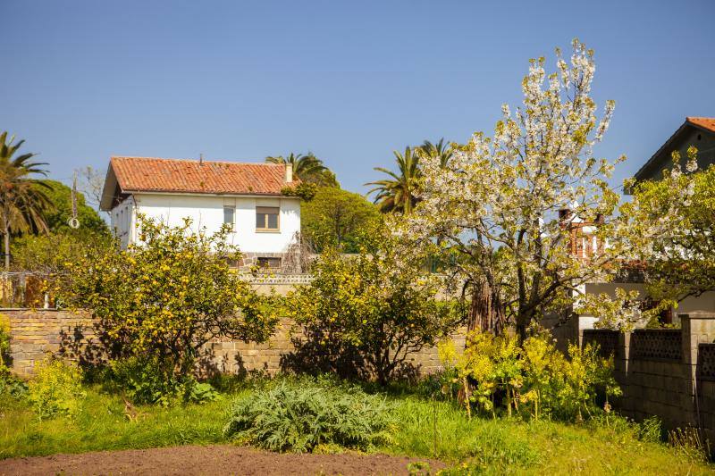 Te acercamos las imágenes de Asturias que este año apenas podemos disfrutar a causa de la terrible pandemia que azota nuestro país. 