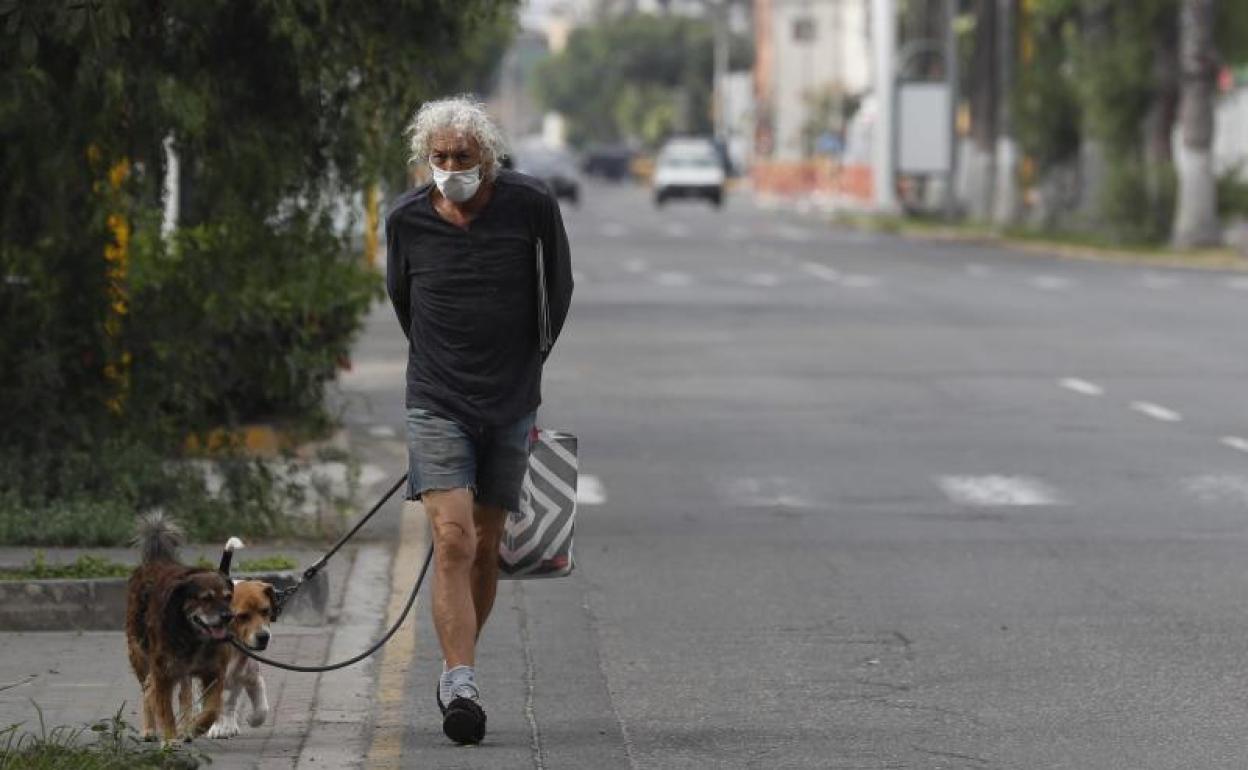 Un hombre pasea a sus perros.