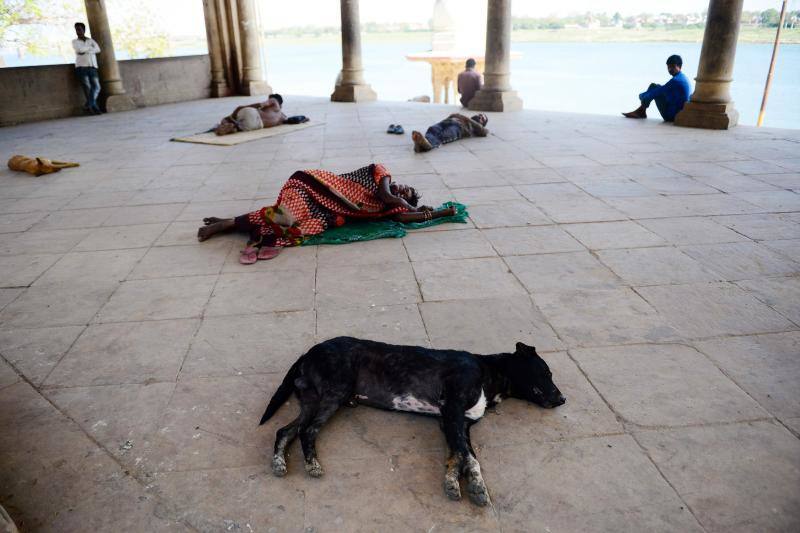 La Organización Mundial de la Salud (OMS) ha confirmado que los animales no transmiten el temido coronavirus y a día de hoy, tener un perro se ha convertido en la envidia del vecindario al poder salir a la calle a pasearlo. La crisis del Covid-19 deja imágenes tan curiosas como estas del mundo animal.