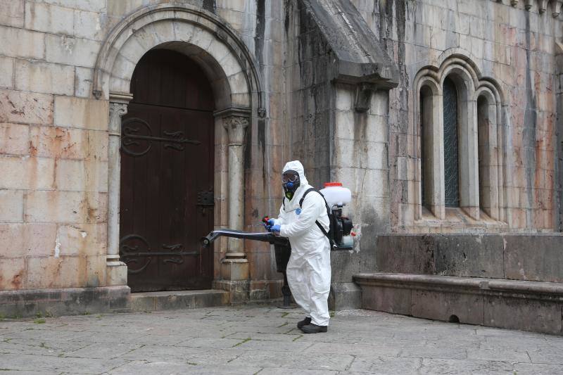 En la lucha contra el nuevo coronavirus no hay espacio que se libre de la lejía. Si en los últimos días se hizo habitual la imagen de personal enfundado en buzos de protección rociando con soluciones desinfectantes todo tipo de espacios, públicos y privados, ayer el escenario era el Santuario de Covadonga. Una estampa que pocos pudieron contemplar, pues el Real Sitio permanece prácticamente vacío, con la única excepción de los religiosos que allí residen y algunos trabajadores, desde la declaración del estado de alarma. Una estampa del todo inusual, más aún en esta época del año, que la presencia de un operario municipal pertrechado con un mono de protección, guantes, mascarilla y una mochila de fumigar hizo todavía más extraño.