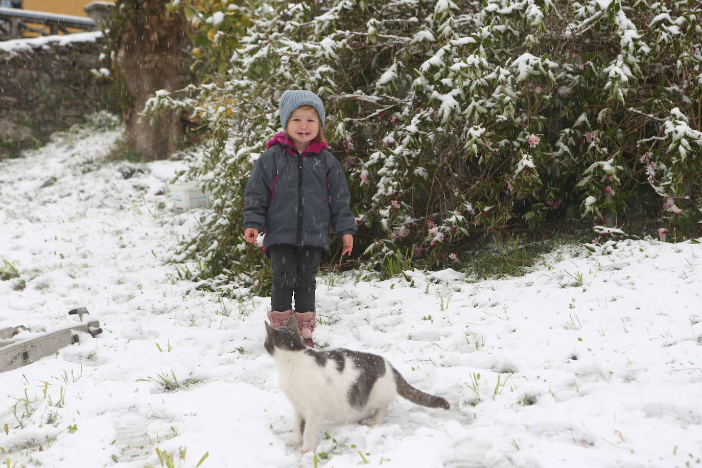 Marzo se despide dejando una imagen poco habitual durante la primavera. Parte del Principado de Asturias ha amanecido bajo un manto de nieve y la previsión meteorológica es que continúe nevando durante la jornada del martes. 