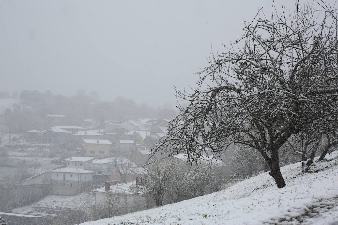 Marzo se despide dejando una imagen poco habitual durante la primavera. Parte del Principado de Asturias ha amanecido bajo un manto de nieve y la previsión meteorológica es que continúe nevando durante la jornada del martes. 