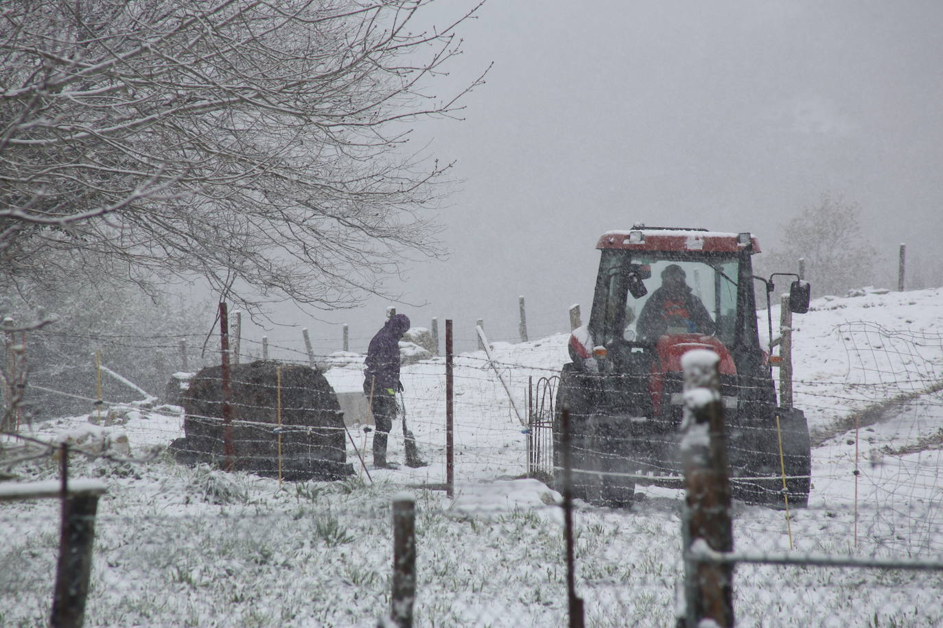 Marzo se despide dejando una imagen poco habitual durante la primavera. Parte del Principado de Asturias ha amanecido bajo un manto de nieve y la previsión meteorológica es que continúe nevando durante la jornada del martes. 
