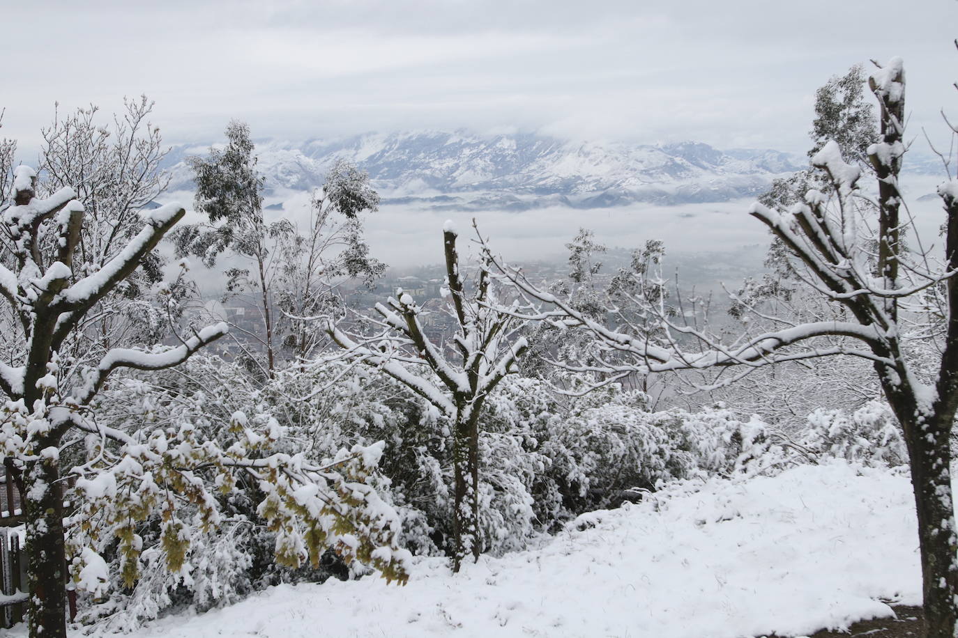 Un manto blanco ha cubierto las zonas altas de la capital asturiana y las cumbres que la rodean. Imágenes espectaculares en plena primavera desde El Cristo y El Naranco, con impresionantes vistas hacia el Aramo y la cordillera. 