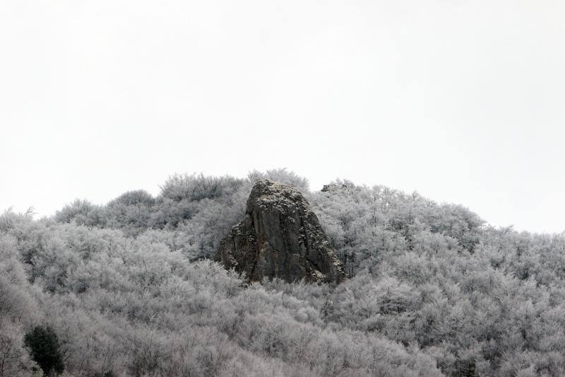 La recién estrenada primavera deja en la región una de esas nevadas que invitan a disfrutar del paisaje. Pese a que la mayoría de los asturianos la han vivido desde el confinamiento por el coronavirus, EL COMERCIO les invita a hacer un recorrido por las mejores estampas blancas de la región. 