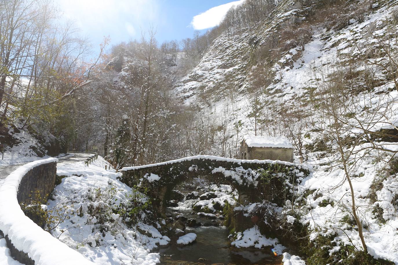 La recién estrenada primavera deja en la región una de esas nevadas que invitan a disfrutar del paisaje. Pese a que la mayoría de los asturianos la han vivido desde el confinamiento por el coronavirus, EL COMERCIO les invita a hacer un recorrido por las mejores estampas blancas de la región. 