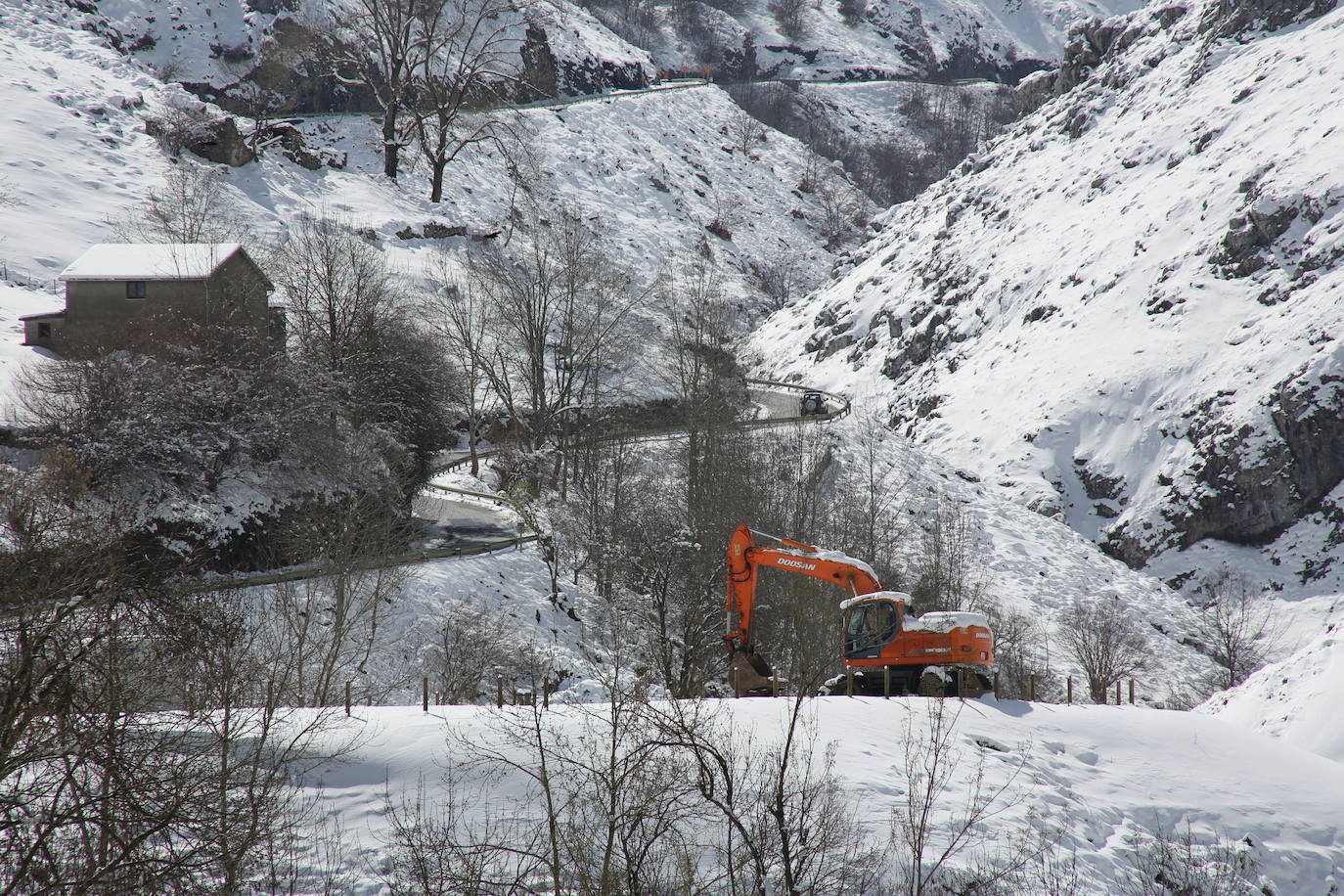 La recién estrenada primavera deja en la región una de esas nevadas que invitan a disfrutar del paisaje. Pese a que la mayoría de los asturianos la han vivido desde el confinamiento por el coronavirus, EL COMERCIO les invita a hacer un recorrido por las mejores estampas blancas de la región. 