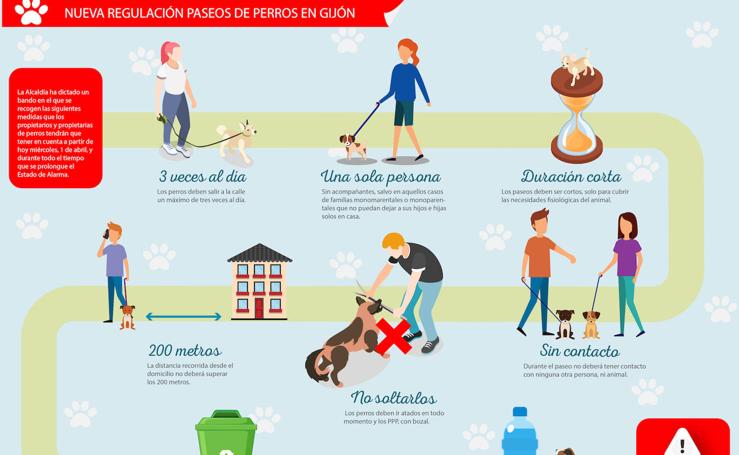 ¿Tienes perro en Gijón? Este es el gráfico que debes tener a mano