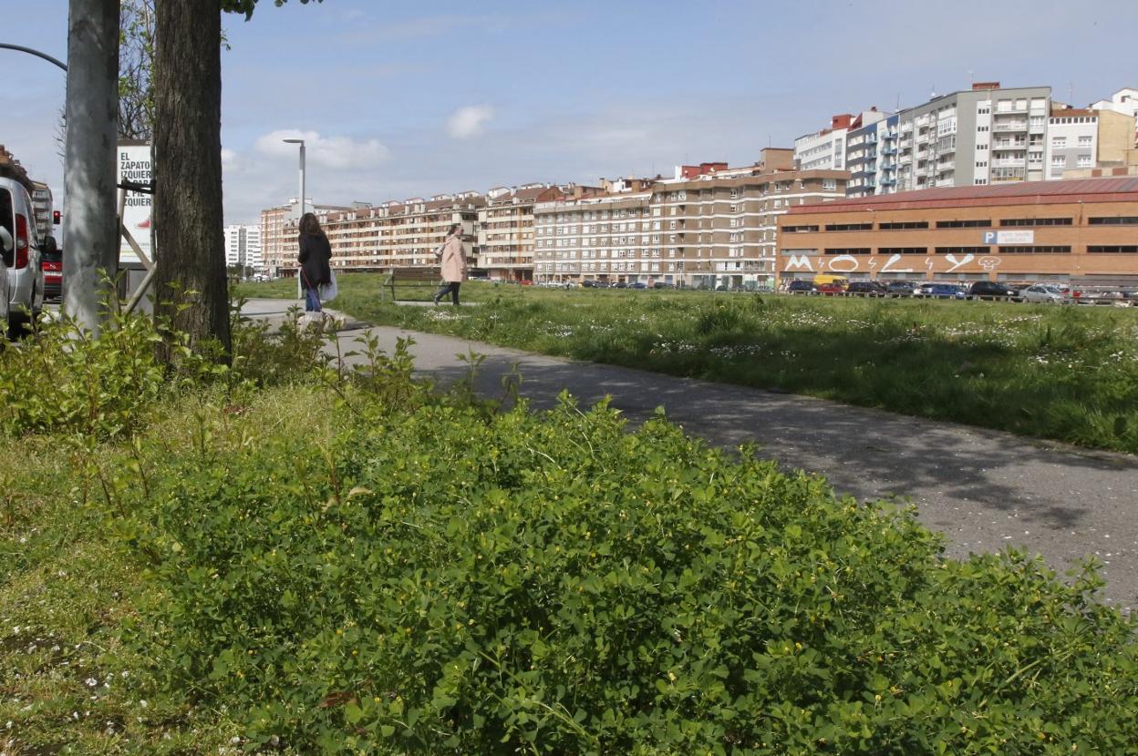 'El solarón' es una de las zonas donde más se ha podido apreciar la falta de mantenimiento. 