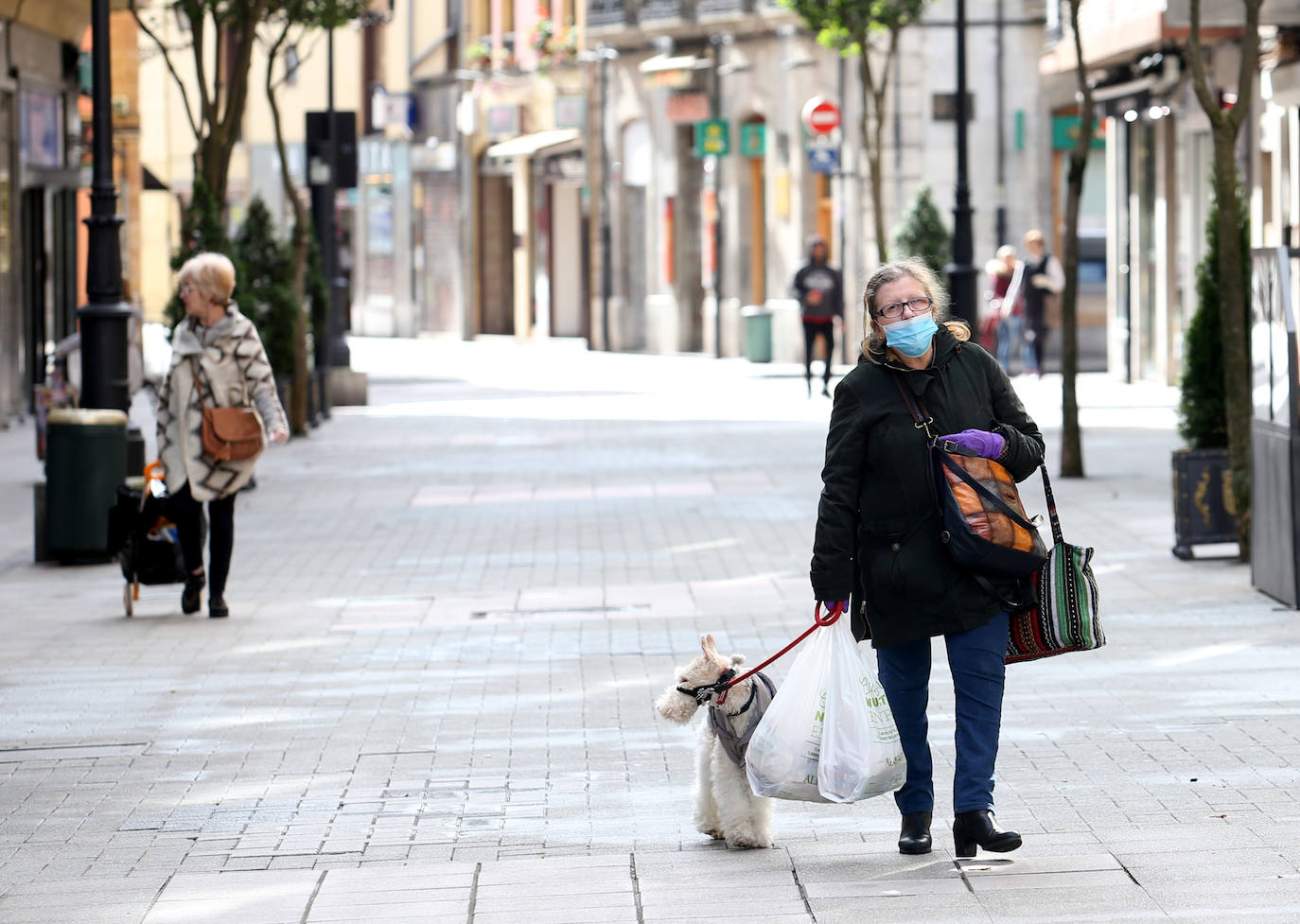 La actividad mínima esencial continua en todos los rincones de Asturias. Los asturianos salen para realizar compras de alimentos, pasear a sus mascotas o acudir a sus puestos de trabajo