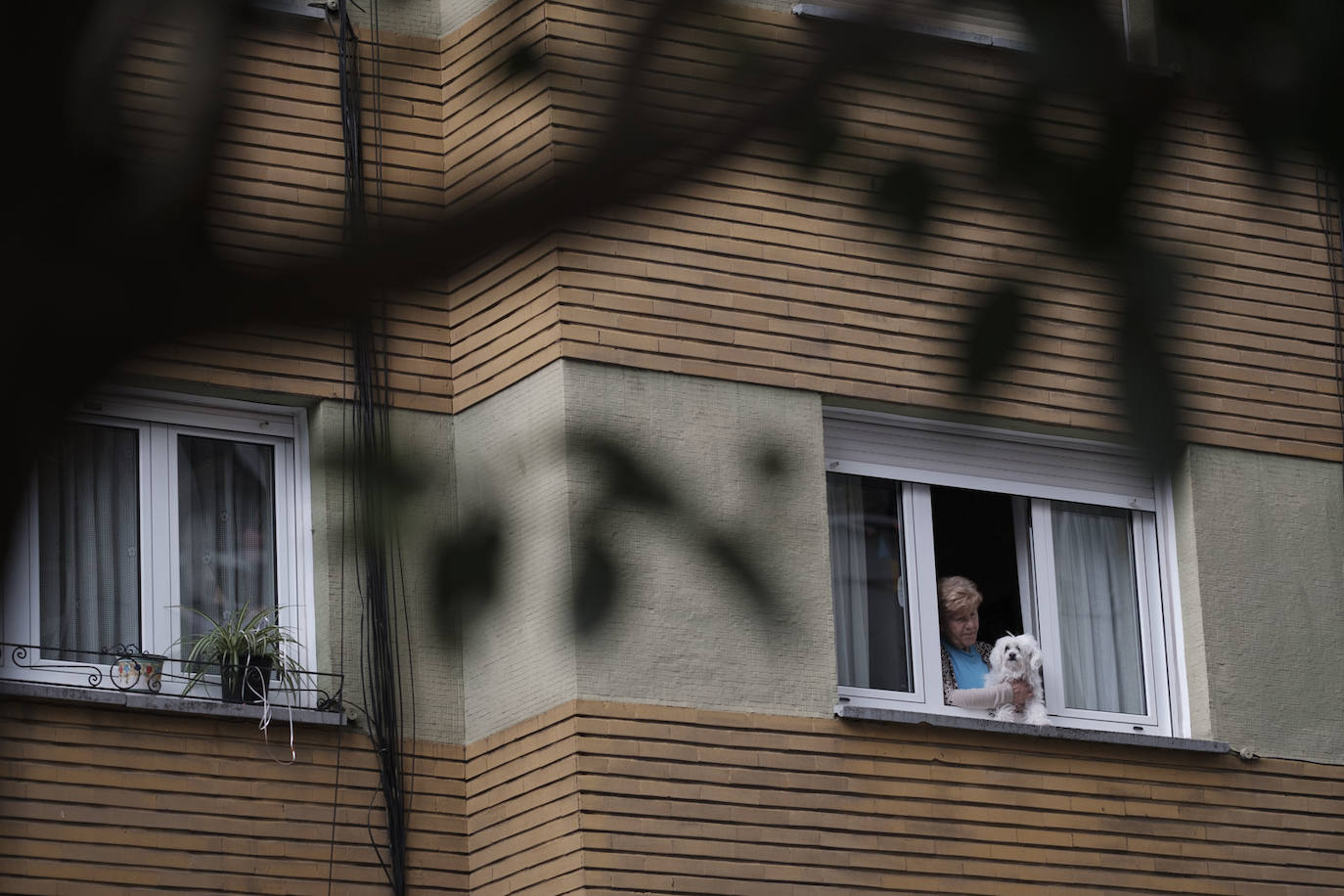 Oviedo y Gijón celebraron este viernes un multitudinario escanciado, en donde no solo hubo sidra. En esta 'fiesta' tampoco faltó la música y unos balcones engalanados para la ocasión.