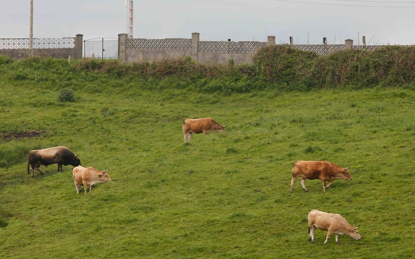 Las región cumple con las normas de seguridad en las salidas ineludibles a la calle. Las mascarillas y los controles se convierten en la tónica habitual de la vida fuera de casa. 