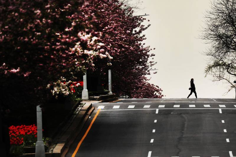 Algunas de las ciudades más importantes del mundo se han quedado casi sin vida debido a la pandemia del coronavirus. Nueva York, París, Berlín, Moscú, Londres o Tokio se muestran como nunca las habíamos visto.