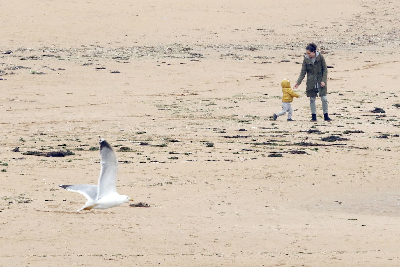 Primeros paseos bajo el orbayu en Gijón de los más pequeños