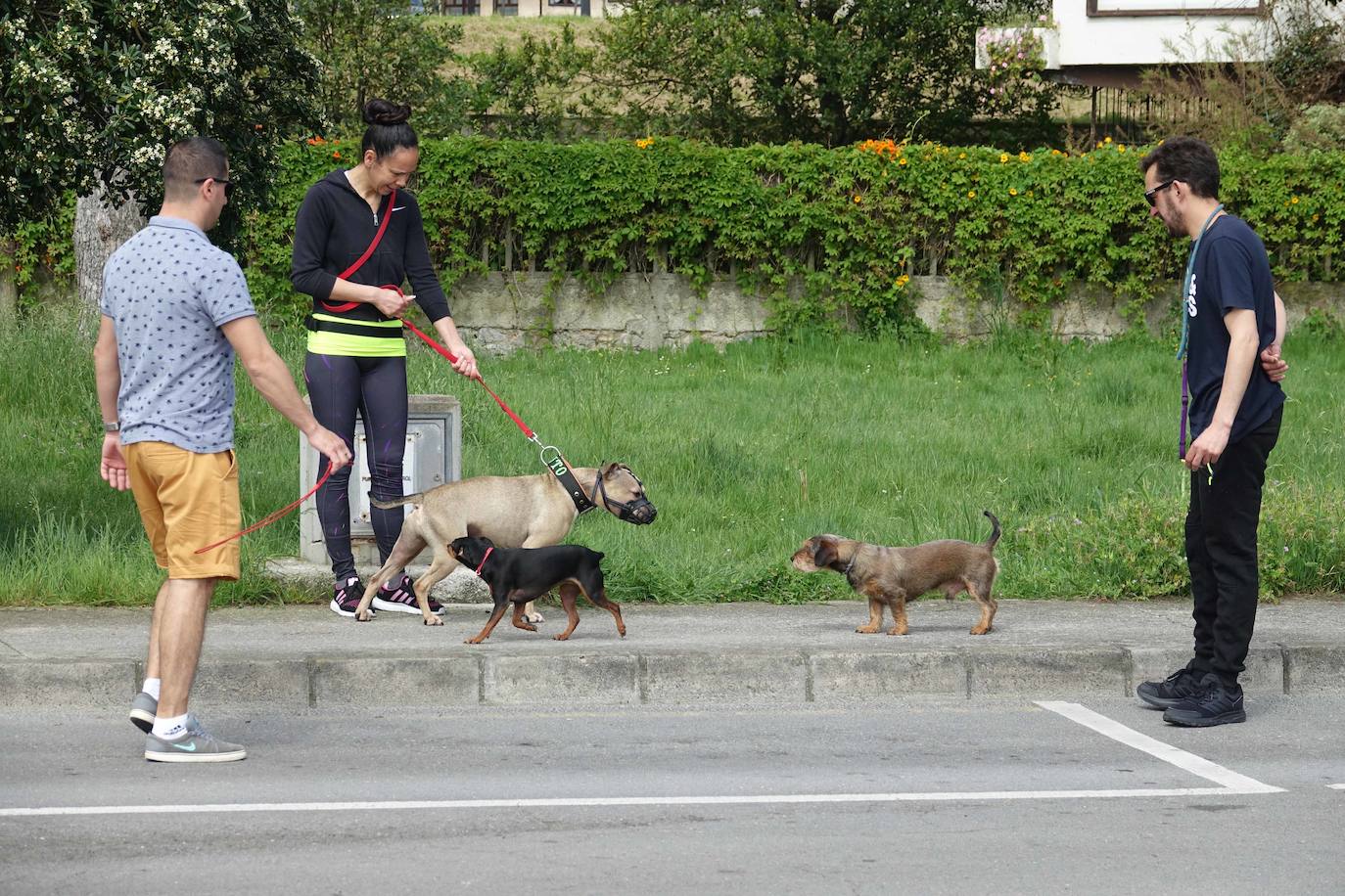 Las salidas de los asturianos para pasear o hacer deporte son algo más contenidas este domingo, aunque la afluencia sigue siendo importante en playas y parques. El control policial se intensifica en esta segunda jornada de libertad.