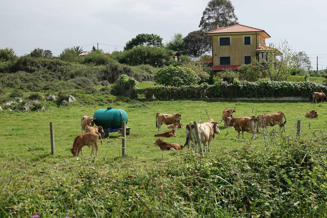 Con temperaturas más propias del verano que de la primavera, Asturias vive una jornada del estado de alarma con las peluquerías y pequeños comercios abiertos en su camino hacia la 'nueva normalidad'