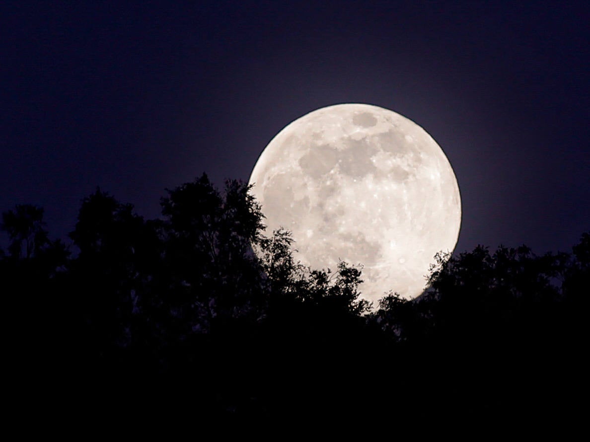 Este jueves, alrededor de las 12:45 del mediodía, la Tierra y la Luna se acercaron todo lo que han podido. El fenómeno, conocido como 'superluna', se pudo ver en todo su esplendor cuando la noche ya era cerrada ofreciendo estas imágenes evocadoras. Conocida como 'superluna de las flores' por la época del año en la que se ha producido, buena parte de los ciudadanos del planeta la han contemplado desde el confinamiento. Para que obtenga esta consideración de superluna, debe encontrarse en su fase llena y situarse en el punto más cercano de su órbita a la Tierra. El astro ha cumplido con ambos requisitos y dicen los expertos que será la última que se pueda ver este año. Habrá que esperar hasta el 27 de abril de 2021 para ver la siguiente, según la NASA. 