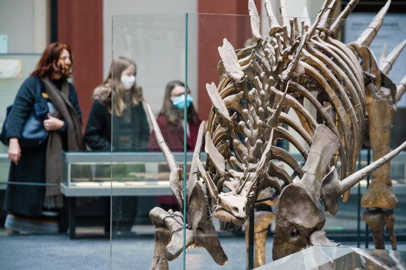 Museo de Historia Natural de Berlín, Alemania.