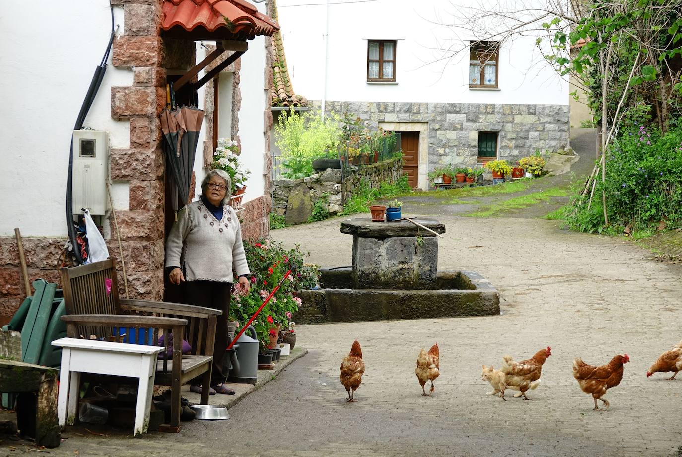 18 de abril. Ponga | Esperanza en la pandemia: una parte de la Asturias rural vive sin coronavirus. 