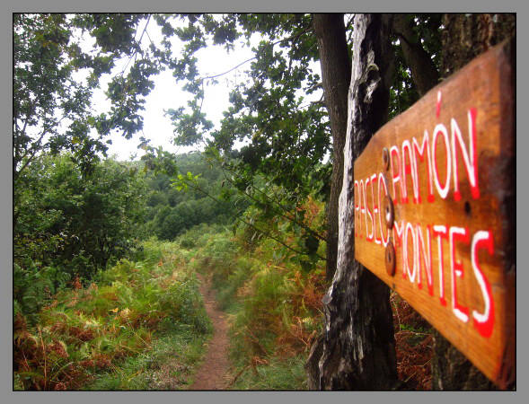 Paseo Ramón Montes.