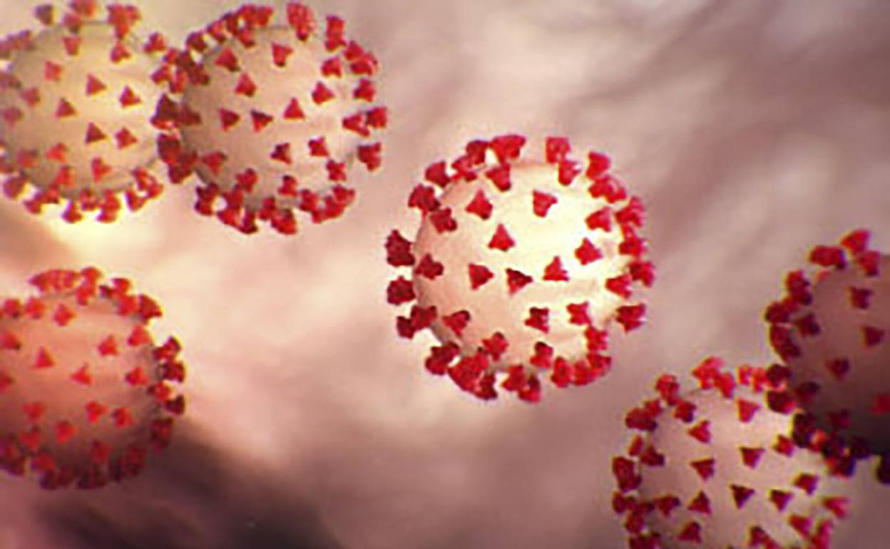 Coronavirus | Casi la mitad de los casos positivos leves no quedan inmunizados