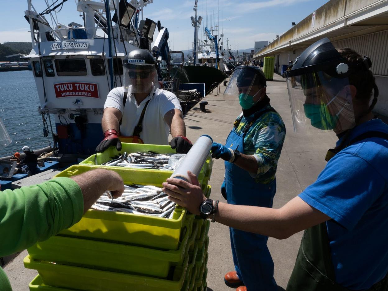 Un momento de la primera descarga de bocarte del año. 