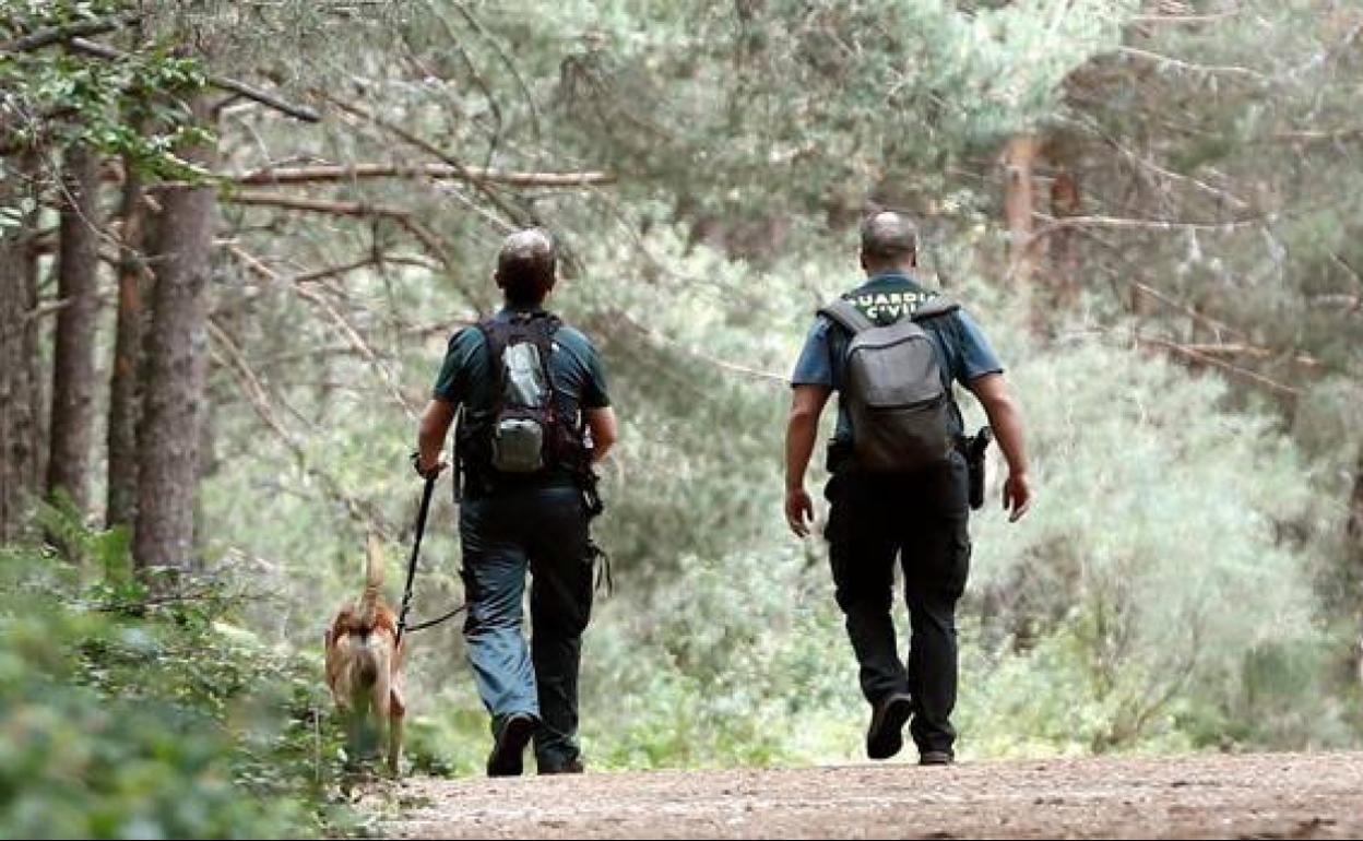 Los agentes no tardaron en desmontar el timo