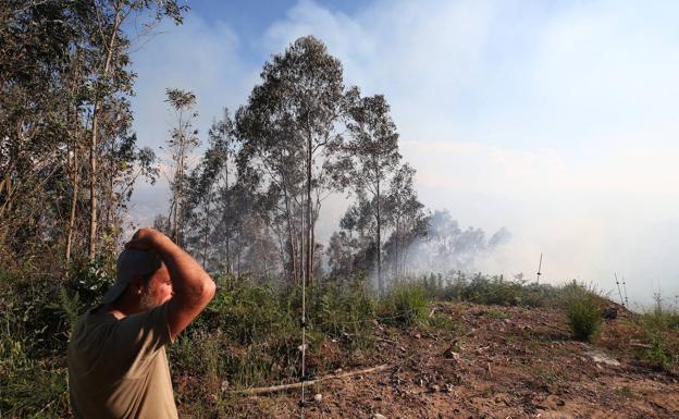 Los bomberos de Oviedo sofocan un incendio en el Naranco