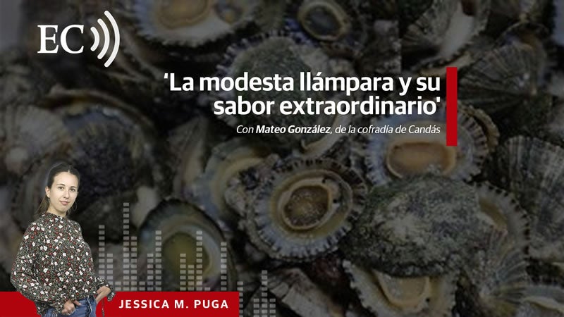 Podcast: La modesta llámpara y su sabor extraordinario