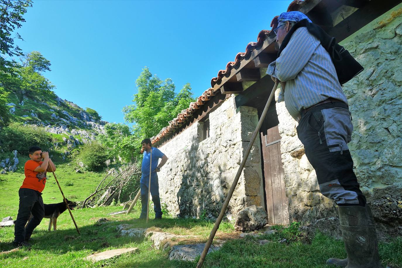 El 1 de junio es la fecha que cada año se toma como referencia en la apertura de pastos para el ganado menor