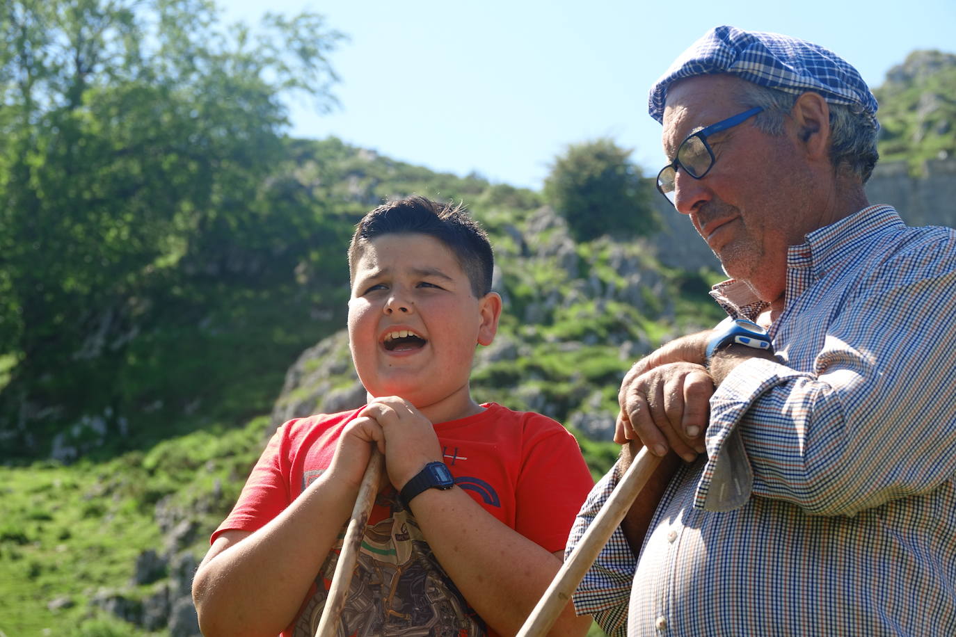 El 1 de junio es la fecha que cada año se toma como referencia en la apertura de pastos para el ganado menor