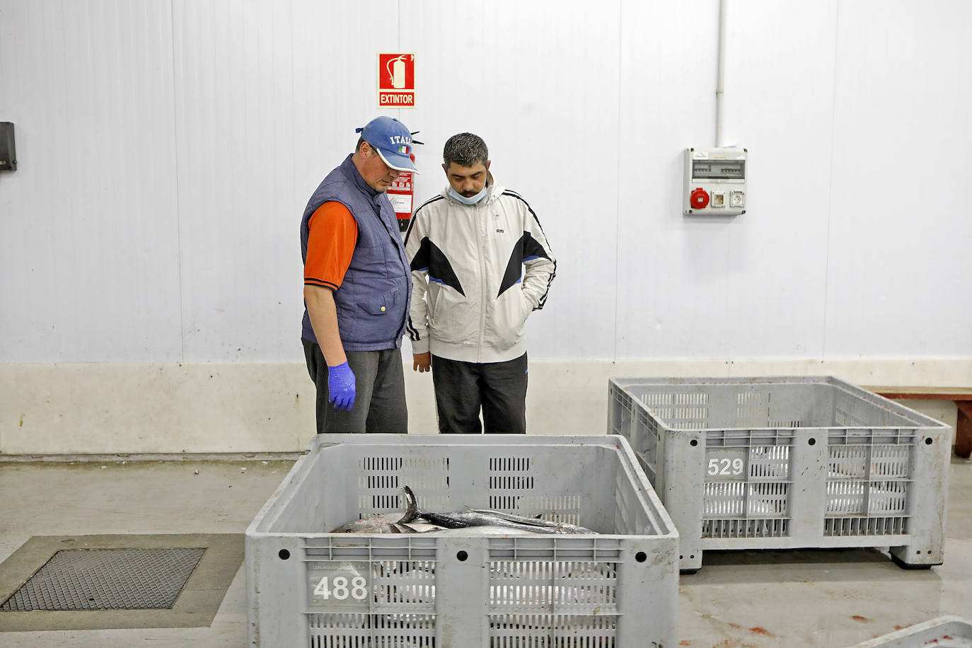 La temporada se estrenó con la venta a 14.03 euros el kilo en la primera tina de bonito grande, 119 kilos que se llevó Pescados El Kiku, de Tazones. El resto, mas de 8.800 kilos, lo compró Alimerka a 12.96 euros. 