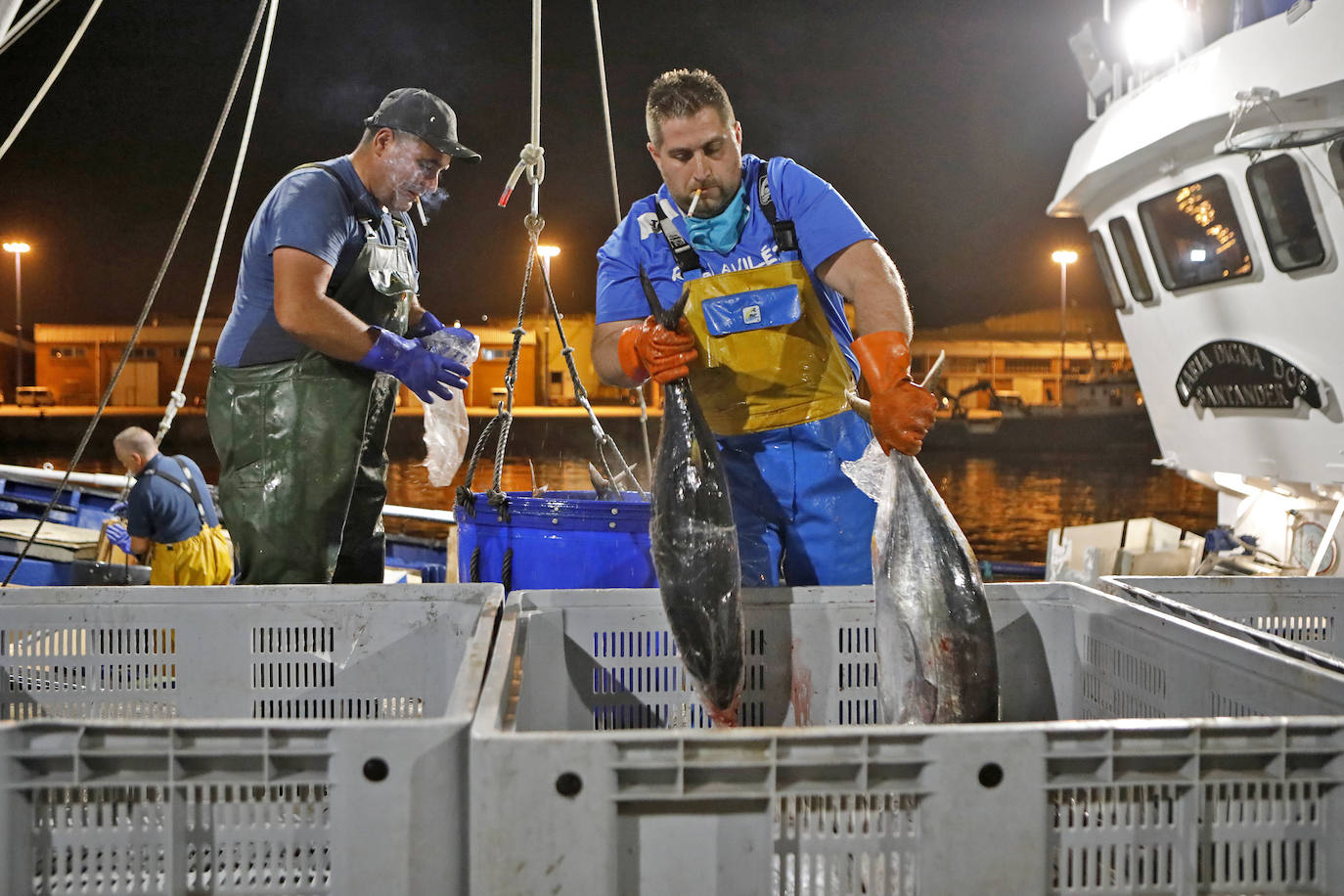 La temporada se estrenó con la venta a 14.03 euros el kilo en la primera tina de bonito grande, 119 kilos que se llevó Pescados El Kiku, de Tazones. El resto, mas de 8.800 kilos, lo compró Alimerka a 12.96 euros. 